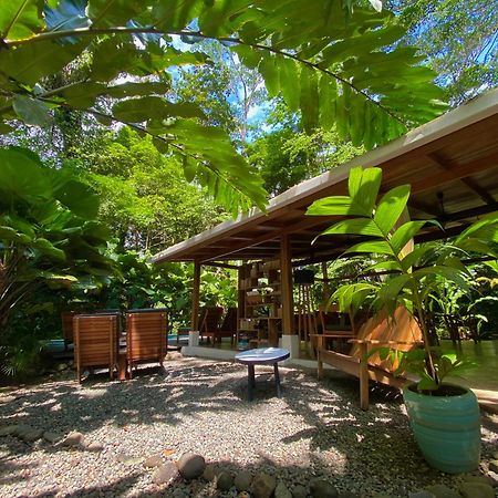 Satta Lodge (Adults Only) Puerto Viejo de Talamanca Eksteriør bilde