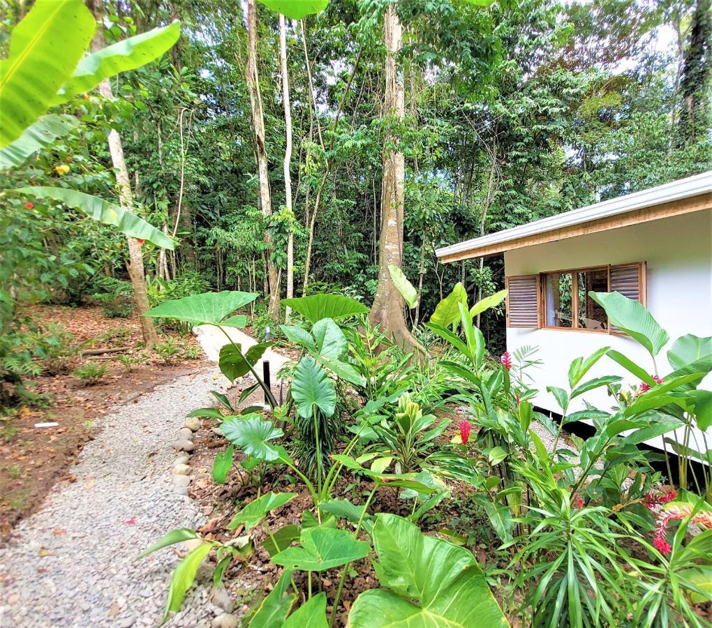 Satta Lodge (Adults Only) Puerto Viejo de Talamanca Eksteriør bilde