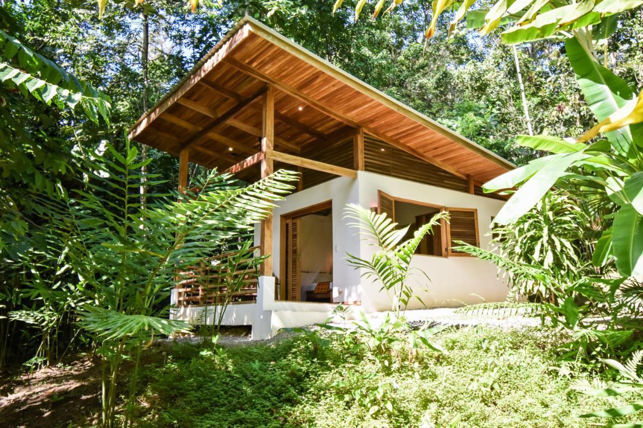 Satta Lodge (Adults Only) Puerto Viejo de Talamanca Eksteriør bilde