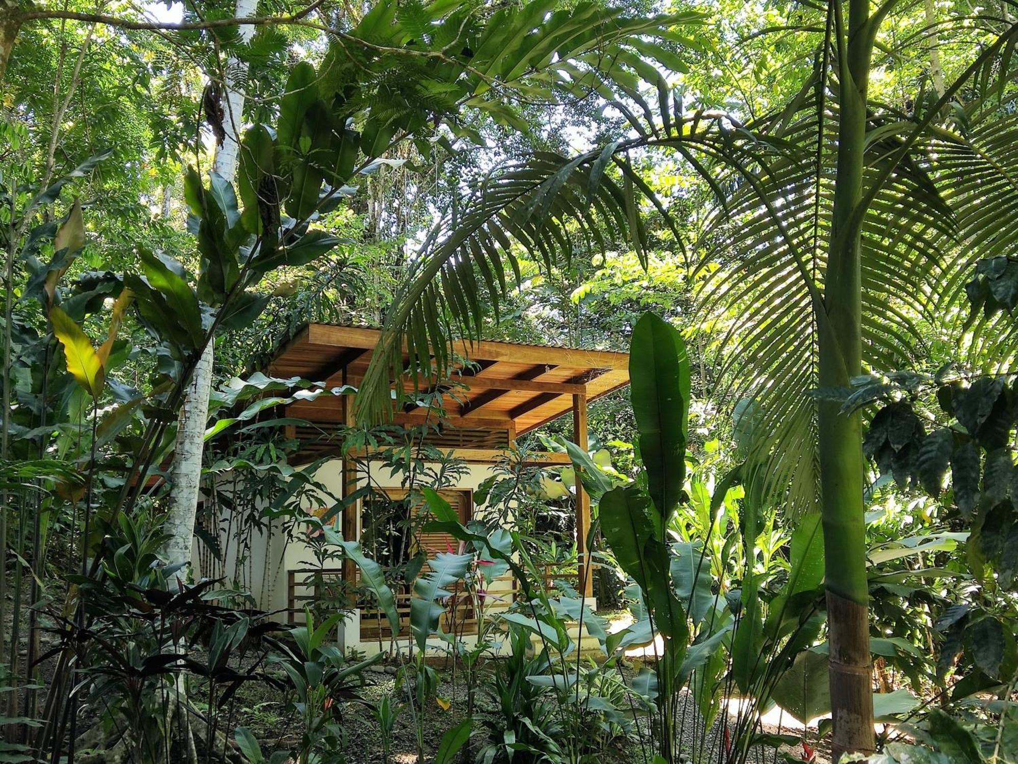 Satta Lodge (Adults Only) Puerto Viejo de Talamanca Rom bilde
