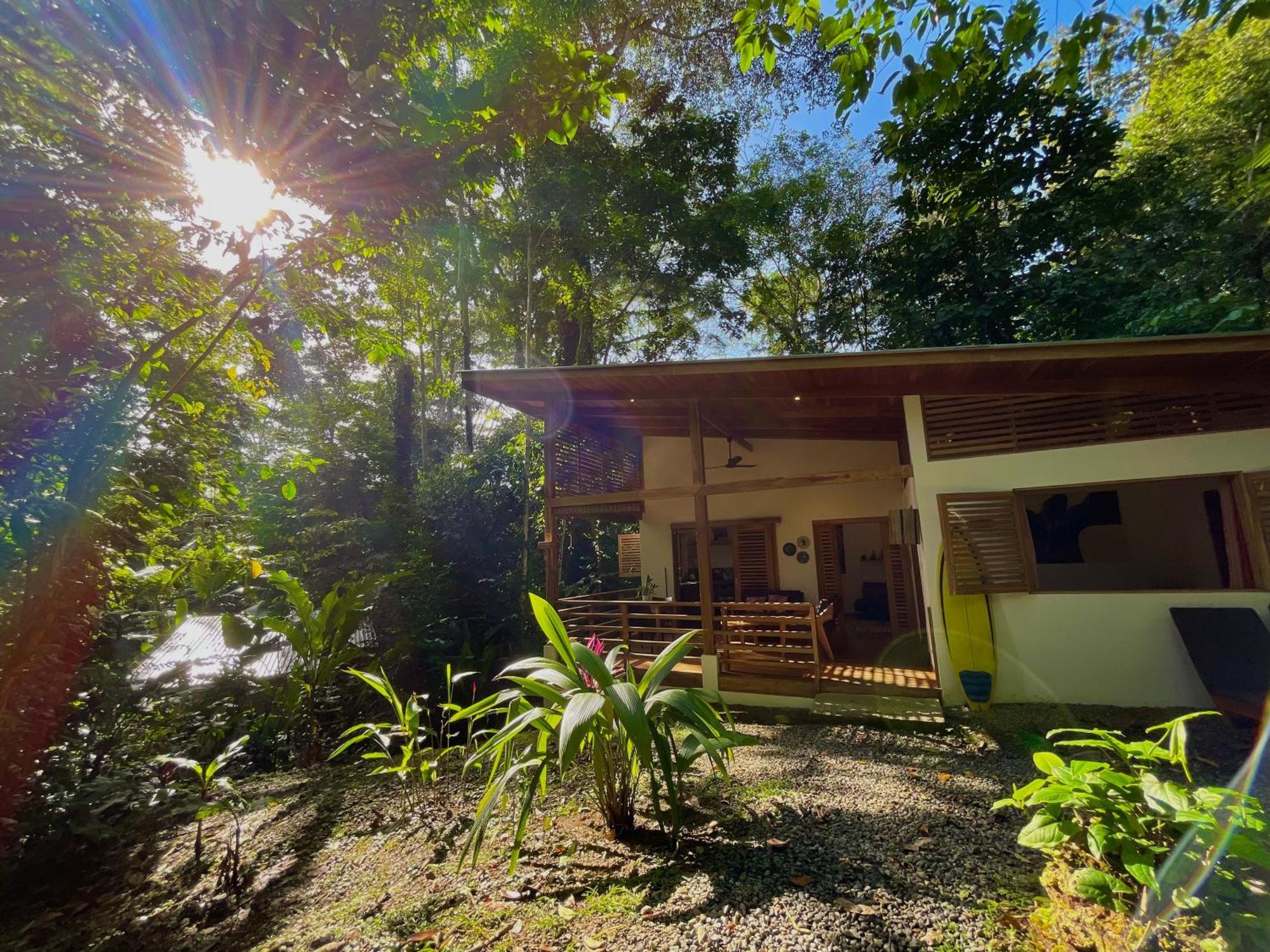 Satta Lodge (Adults Only) Puerto Viejo de Talamanca Eksteriør bilde