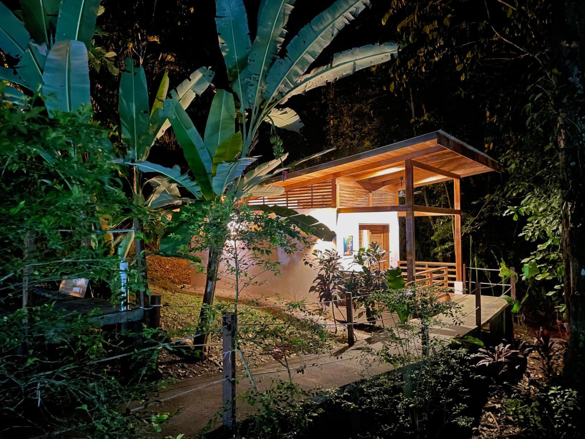 Satta Lodge (Adults Only) Puerto Viejo de Talamanca Eksteriør bilde