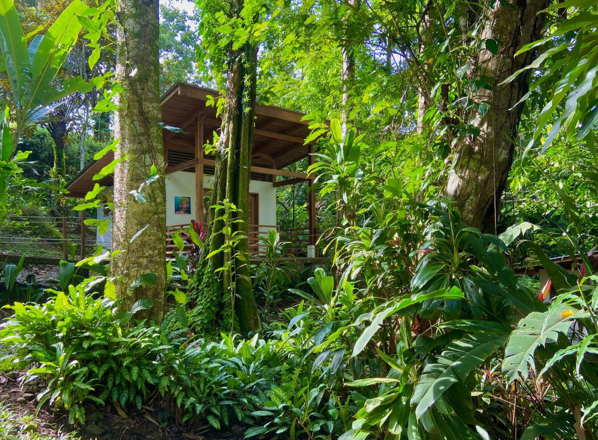 Satta Lodge (Adults Only) Puerto Viejo de Talamanca Eksteriør bilde