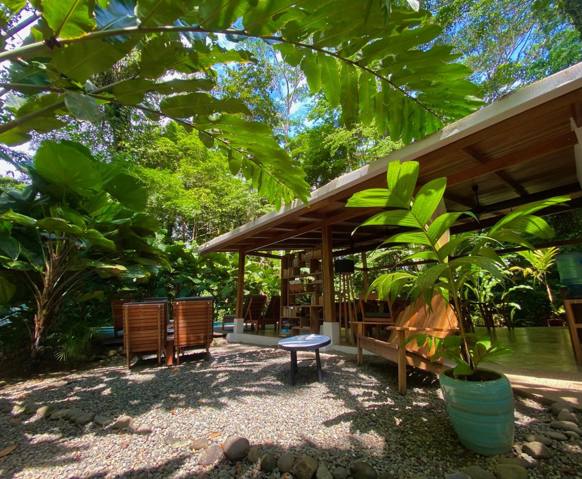 Satta Lodge (Adults Only) Puerto Viejo de Talamanca Eksteriør bilde